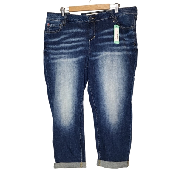 NWT Slink Tasha Boyfriend Curvy Jeans Stitch Fix Size 18W - Picture 15 of 16